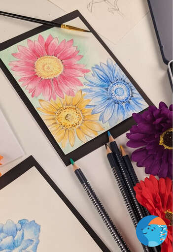 Watercolor Pencil Gerberas